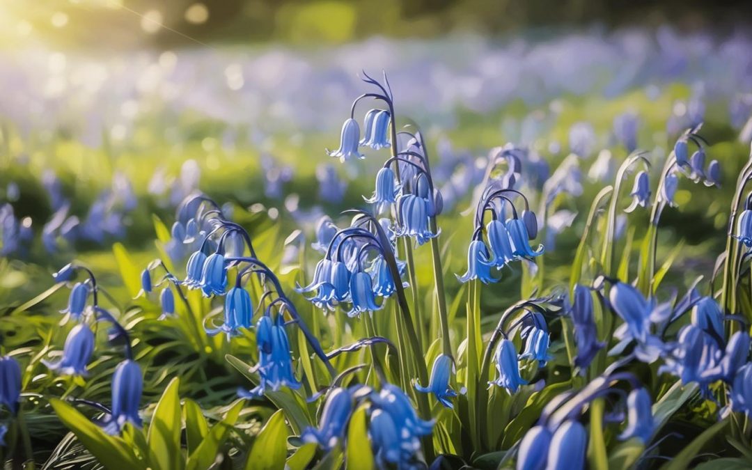 Spring Stroll and Lunch at Penshurst Place