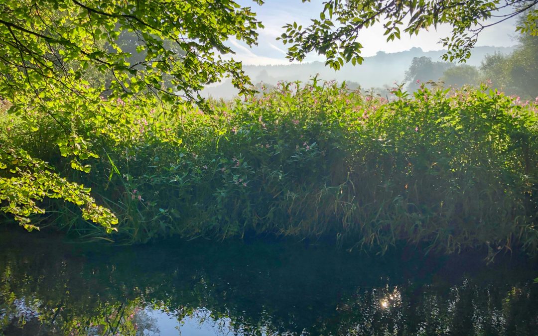Shoreham to Lullingstone Castle Loop