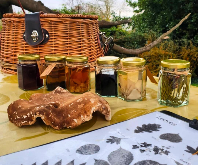 Winter Foraging Walk